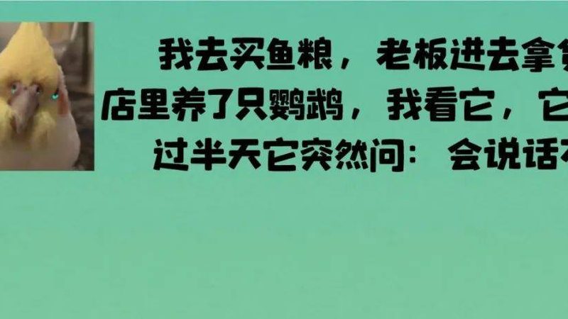 代加工工厂现场审核，这些标准你了解吗？**